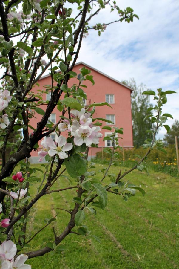 Vanha Koulu Suolahti Exterior photo